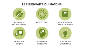 Les bienfaits du matcha : renforcer le système immunitaire naturellement