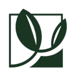 Amoseeds